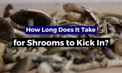 How Long Does It Take for Shrooms to Kick In